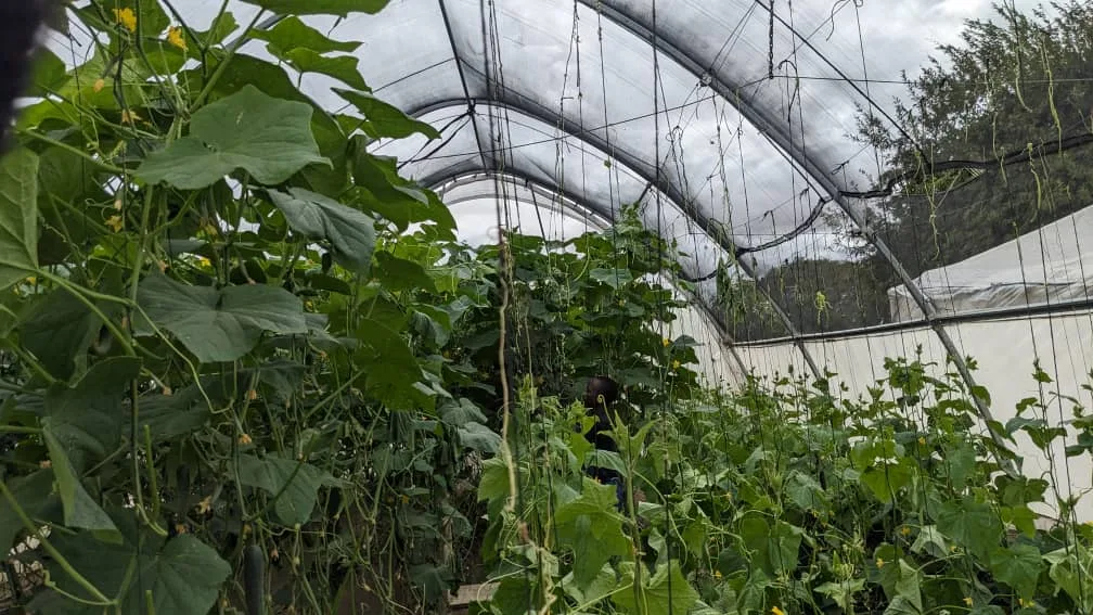 Horticultural farm